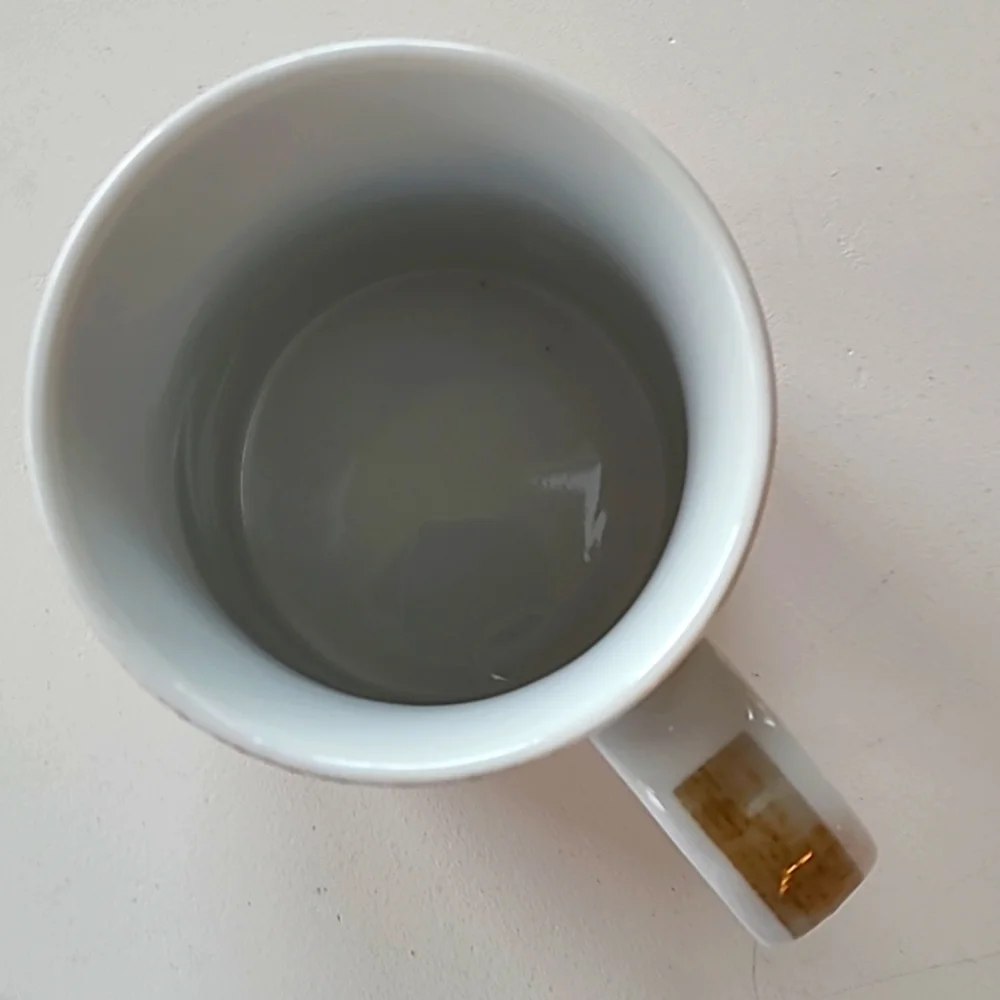 Pier 1 Noel mug